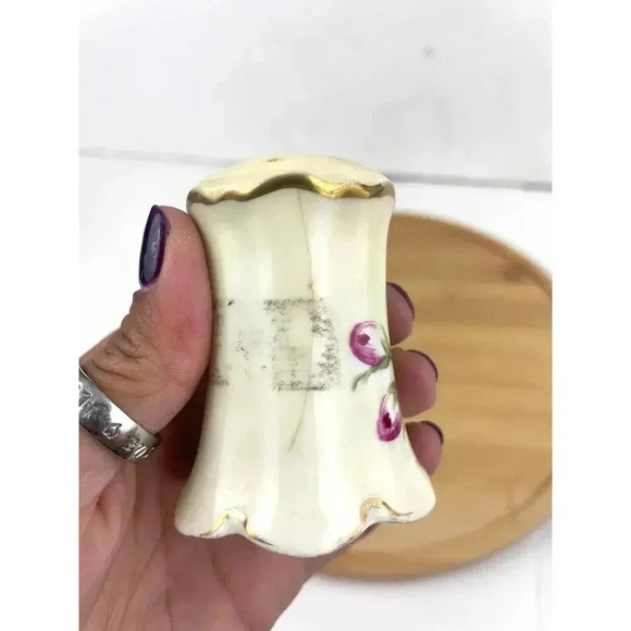 VTG Rosenthal Madeleine Bavarian Porcelain Salt and Pepper Shakers Roses Grapes - Picture 5 of 11